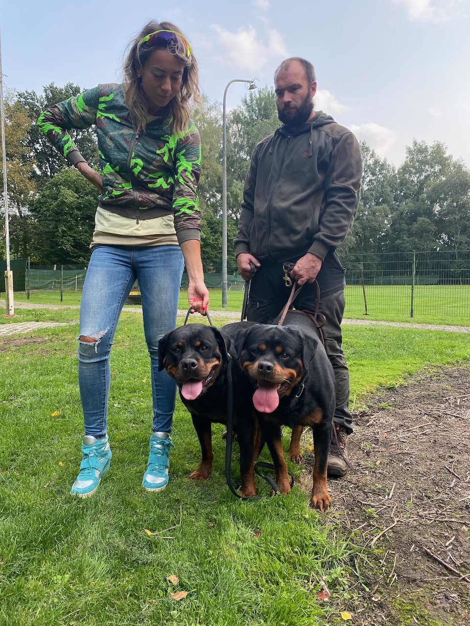 Accoppiamenti di Rottweiler