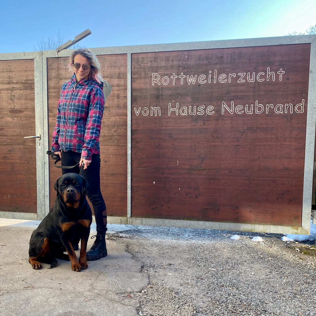 Accoppiamenti di Rottweiler