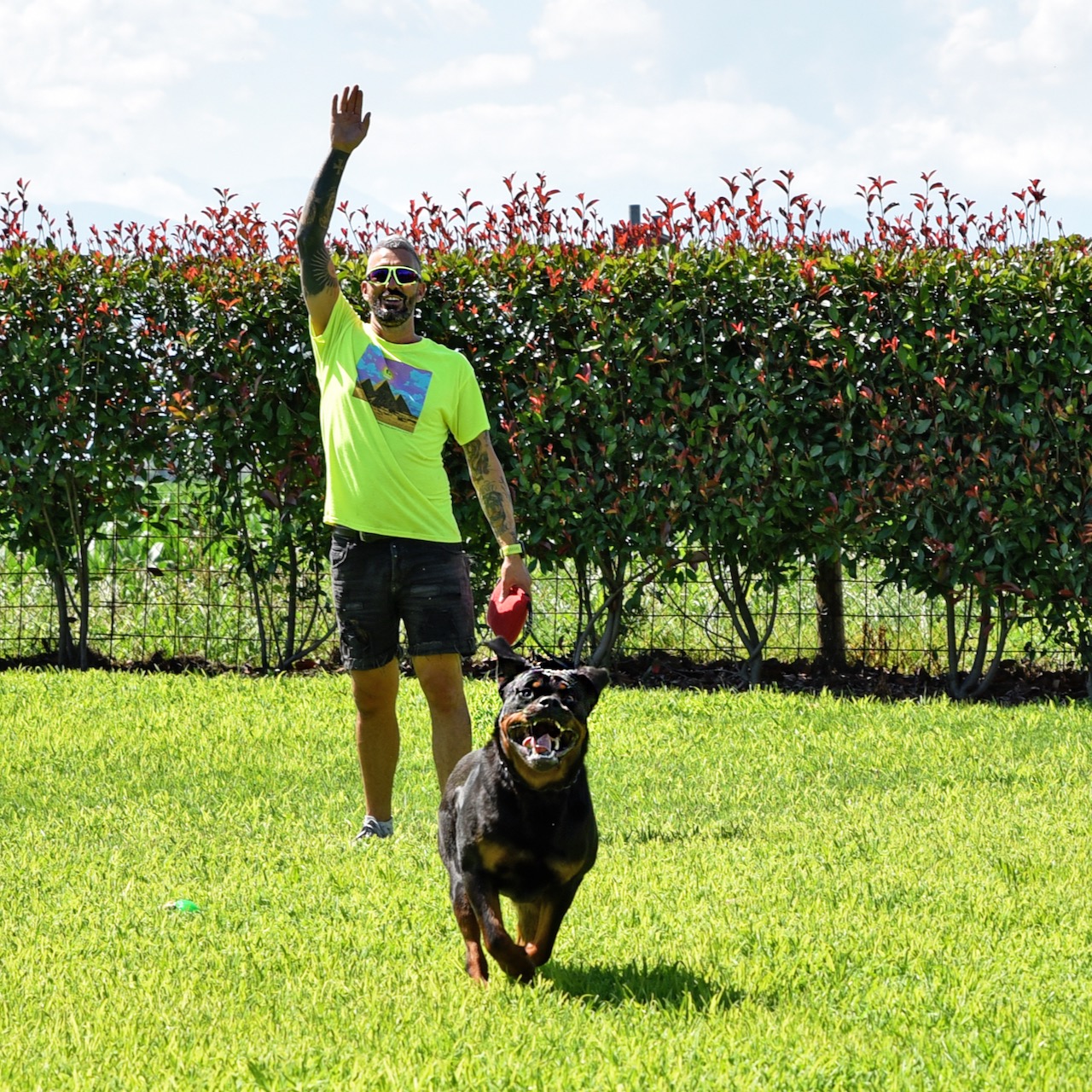 Rottweiler Motta Granda