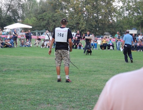 Rottweiler Germania