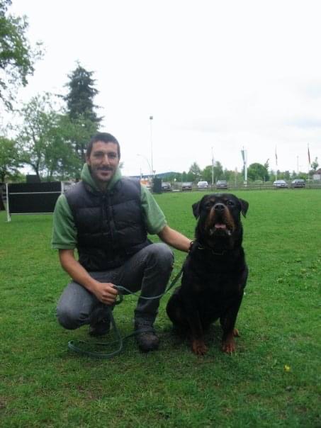 Rottweiler Germania